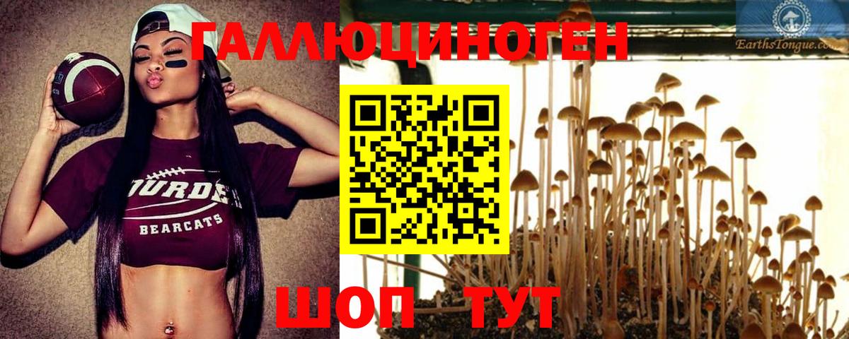 Псилоцибиновые грибы MAGIC MUSHROOMS Шебекино